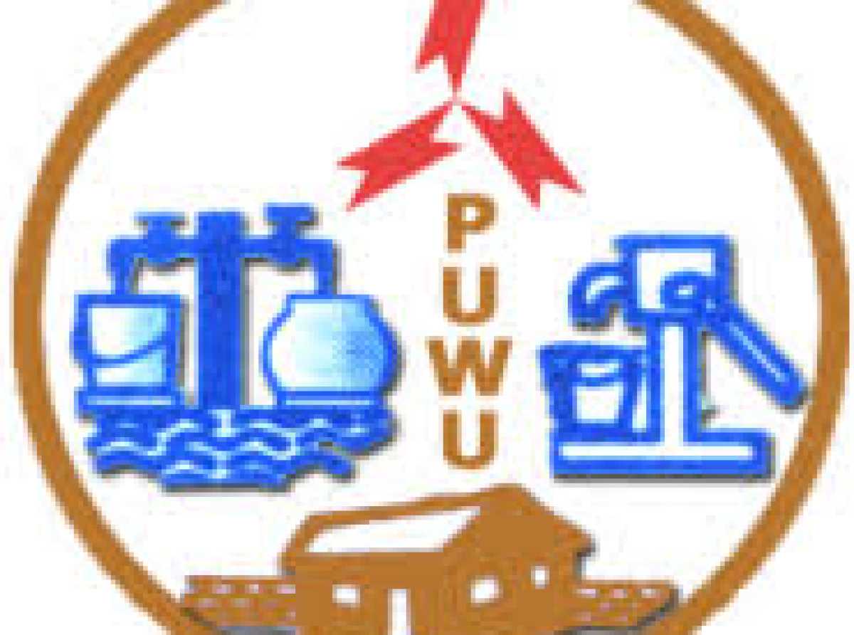 PUWU opposes private sector participation in ECG, NEDCo operations